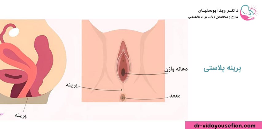 ناز زن کجاست با عکس واقعی